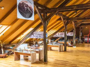 Petroșani Mining Museum