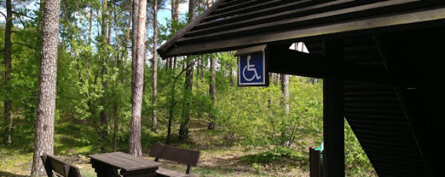 Parking leśny, wiaty