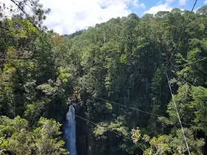Canopy Extreme El Chiflador
