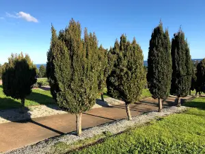 Cannon Hill Lookout