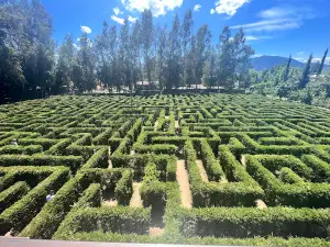 Laberinto San Fernando