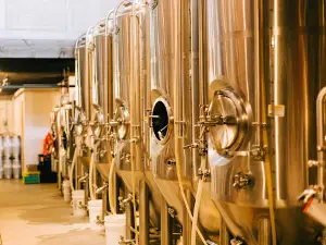 Stone Hollow Brewing Company
