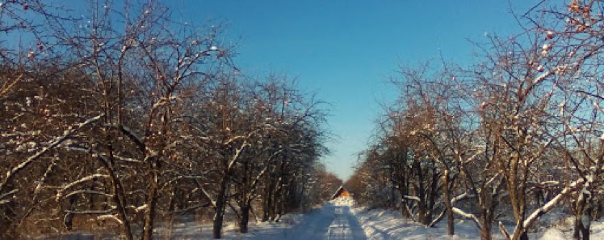 Istoricheskiy Park "Gardarika"