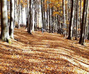 Novopacké vodopády