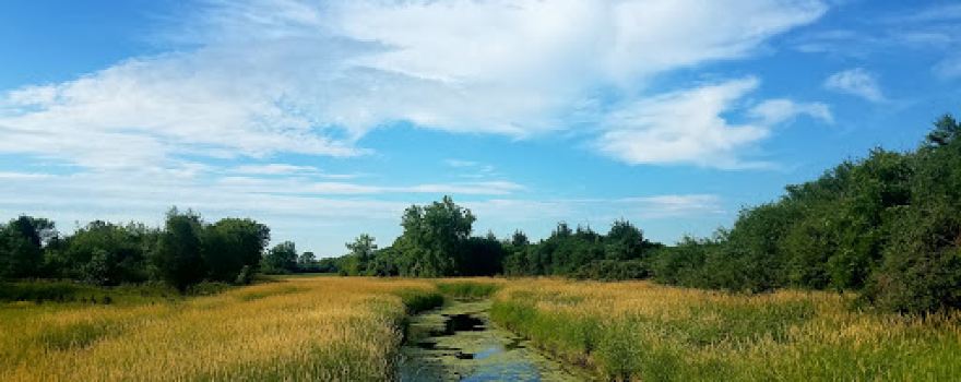 Sun Lake Forest Preserve