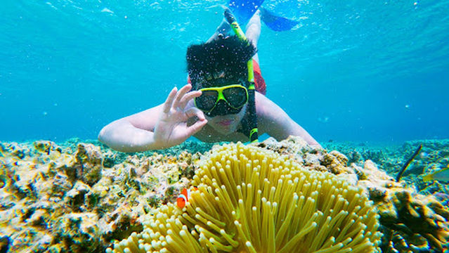 Sumber Mata Air Penawar - Ketapang