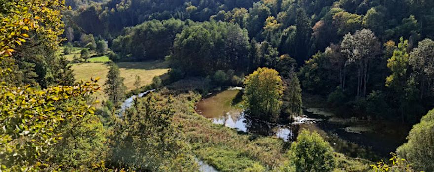Outlook Schambach