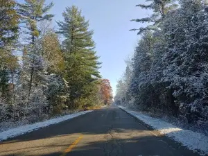 Escanaba River State Forest