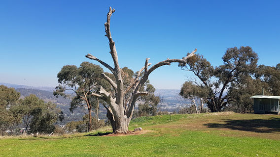 Huon Hill Lookout