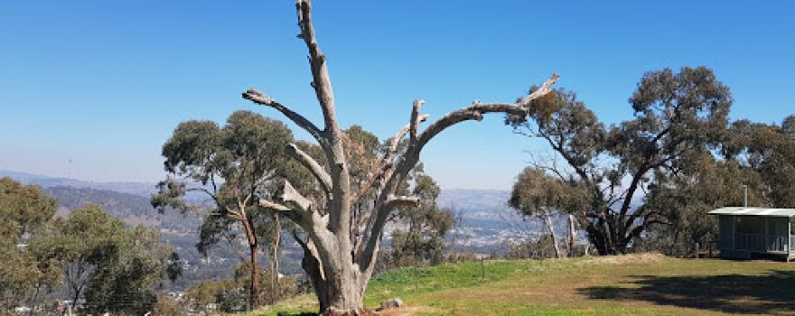 Huon Hill Lookout