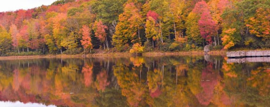 Wildcat Lake