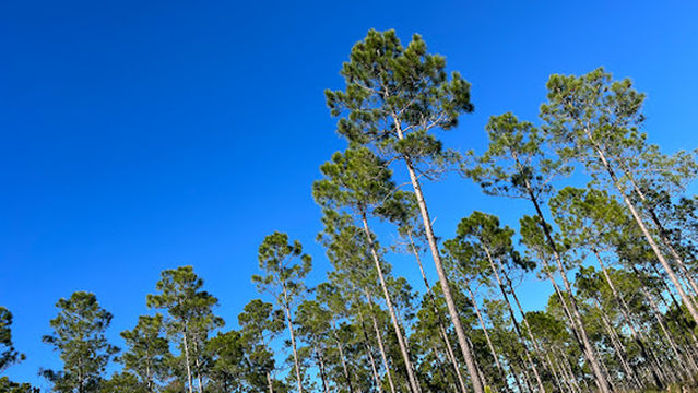 Conservation Park Trailhead