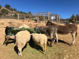 fauna La Maleza Park