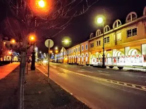 Vasemberház