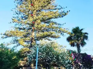 Jardin public