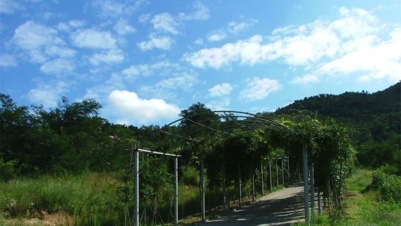 Nanshan Scenic Area