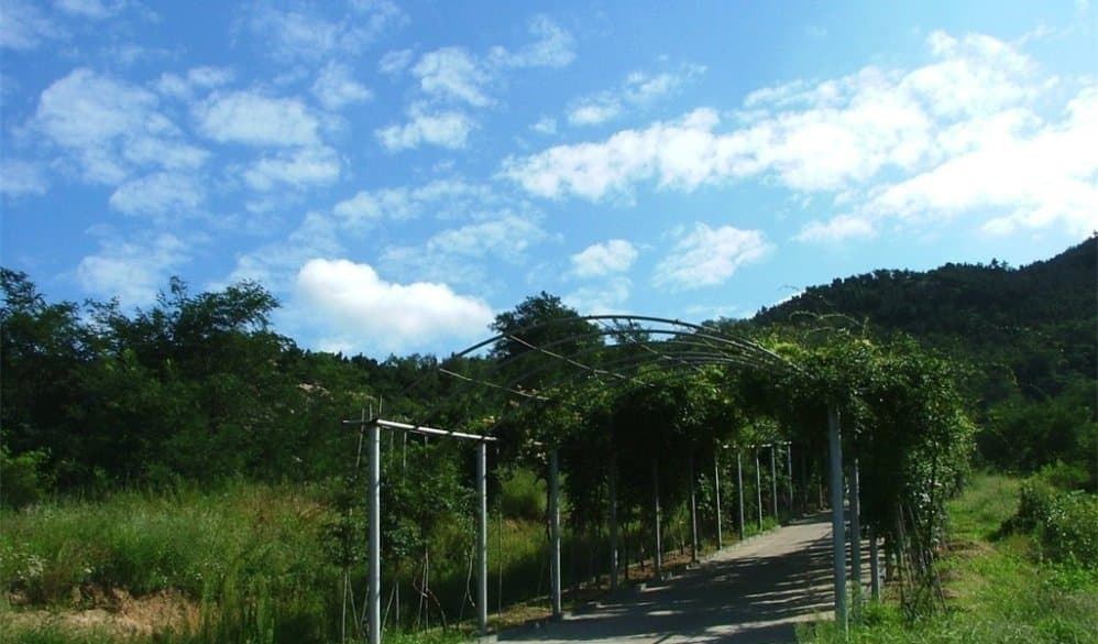 Nanshan Scenic Area