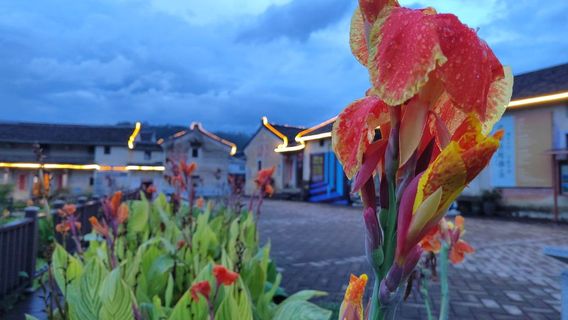 da bu xi he bei tang xiang cun lv you qu