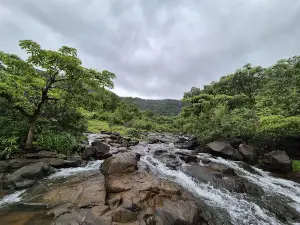 Palshe waterfall