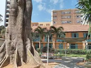 Leopold Sedar Senghor French Institute