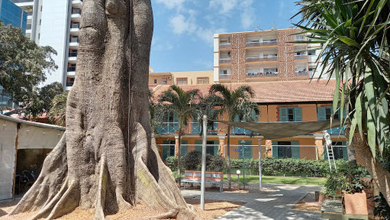 Leopold Sedar Senghor French Institute