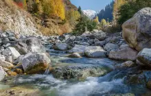 Алма-Арасан