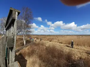 Sølsted Mose