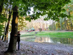Seven Springs in Olesno
