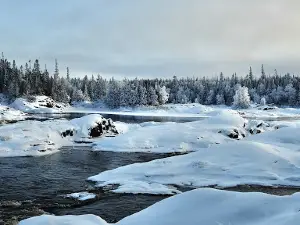 Réseau Bell-Nature