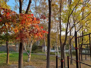 Nakhodkinskiy Gorodskoy Park