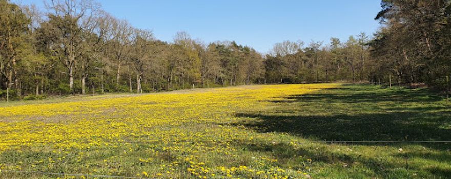Camping De Oude Barrier
