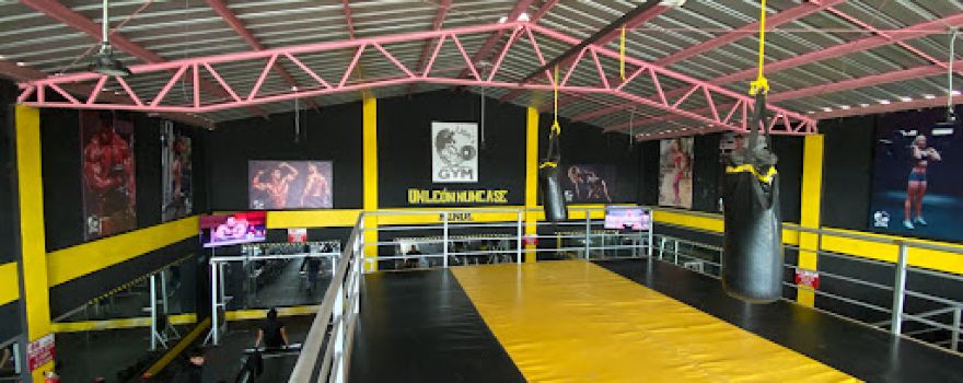 LION'S GYM KING
