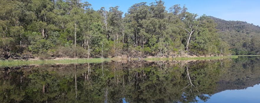 Brogo River