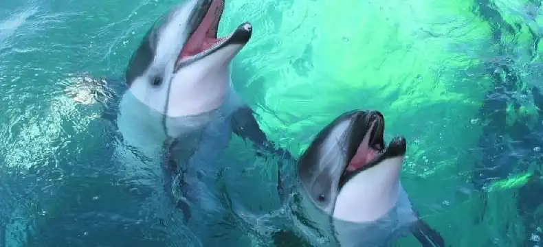 和倉温泉周辺のホテル
