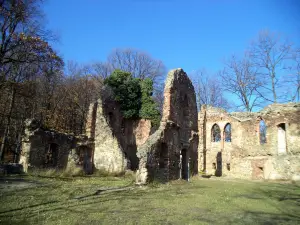 Zamek Stary Ksiaz