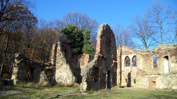 Zamek Stary Ksiaz