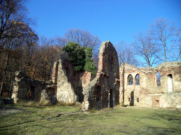 Zamek Stary Ksiaz