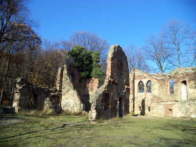 Zamek Stary Ksiaz