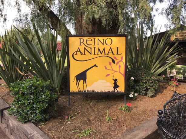 Reino Animal