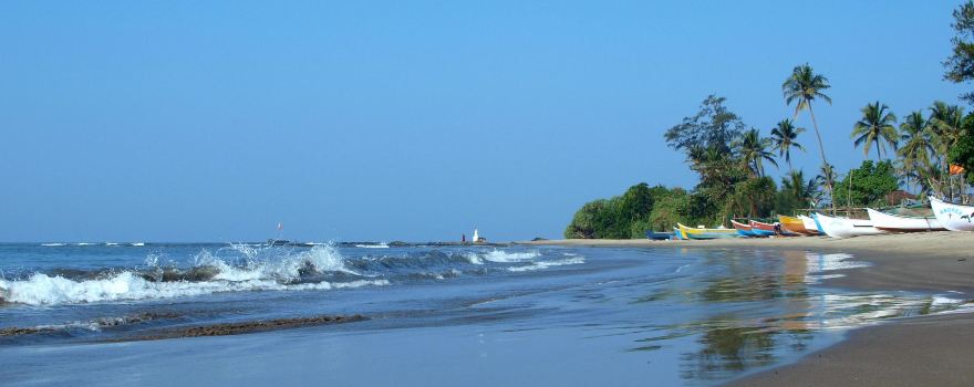 Morjim Beach