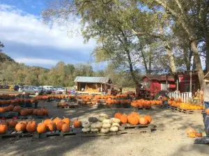 Darnell Farms