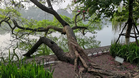 和風塔