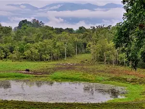 Chapramari Wildlife Sanctuary