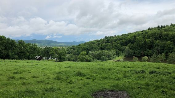 "Dragoș Vodă" Bisons and Carpathian Fauna Reserve