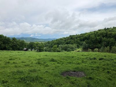 "Dragoș Vodă" Bisons and Carpathian Fauna Reserve