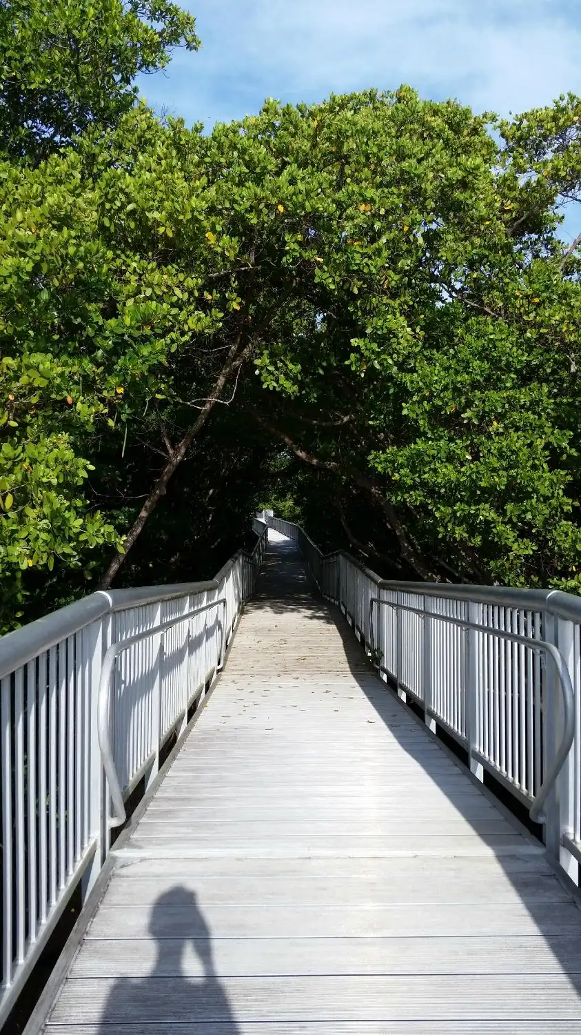 Hotels in der Nähe von Mangrove Park