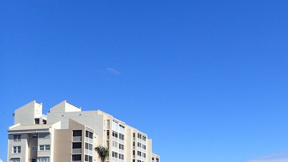 Capt Ron’s Awesome Everglades Adventures