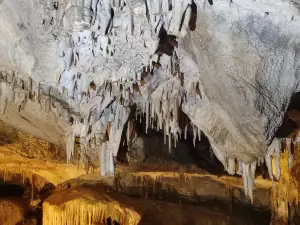 Cave of Bossea