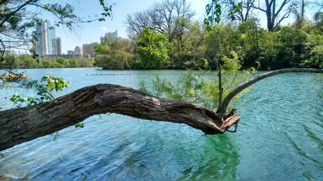 Hotels near Zilker Metropolitan Park