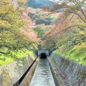 琵琶湖疏水